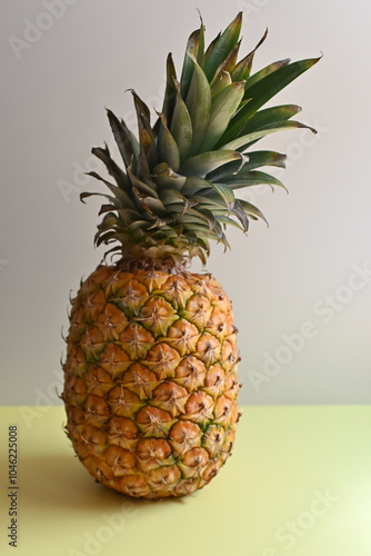 パイナップル２