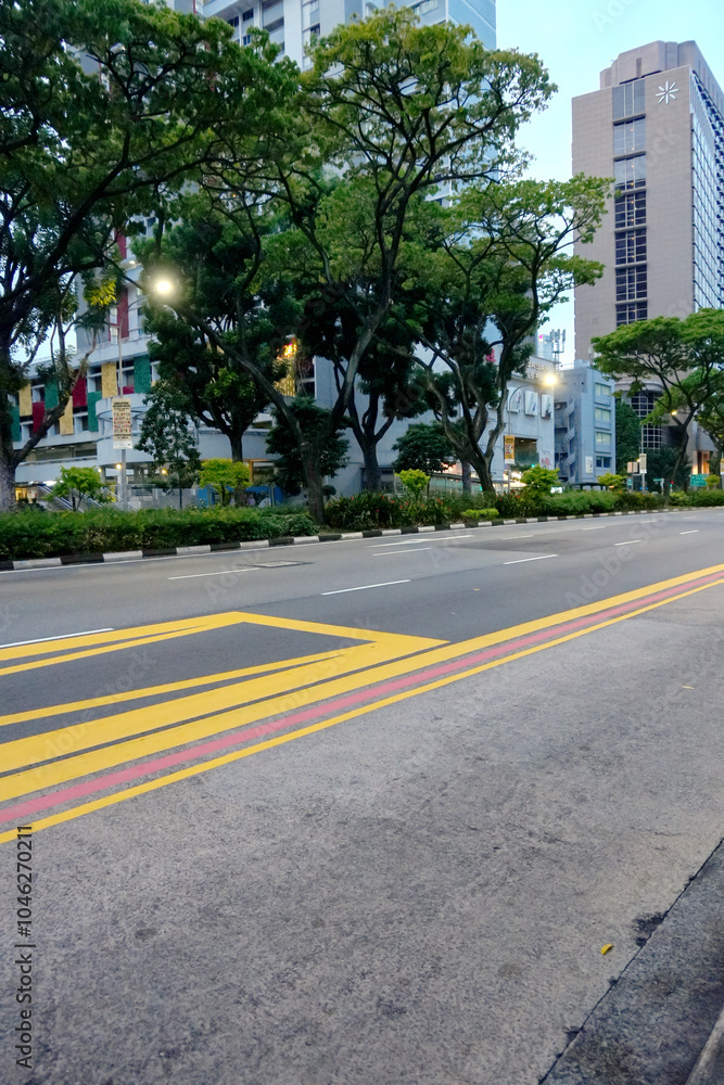 Asphalt Road in City Street With Trees Asphalt Road in City Street With Trees