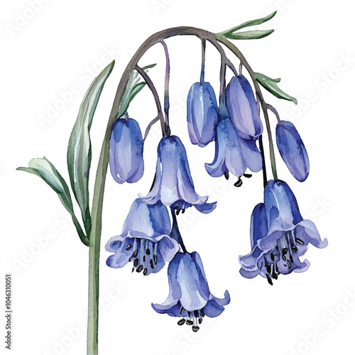 Bluebell watercolor clipart illustration