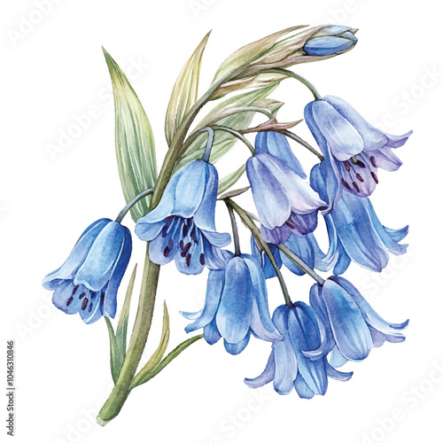 Bluebell watercolor clipart illustration