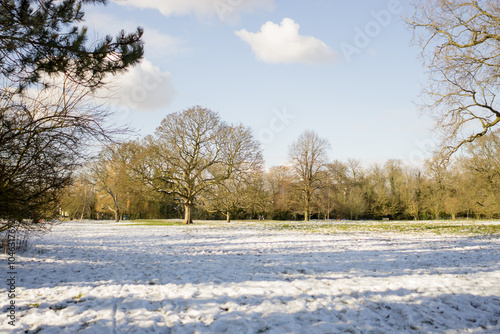 Wallpaper Mural Winter scene in a park, UK. Torontodigital.ca