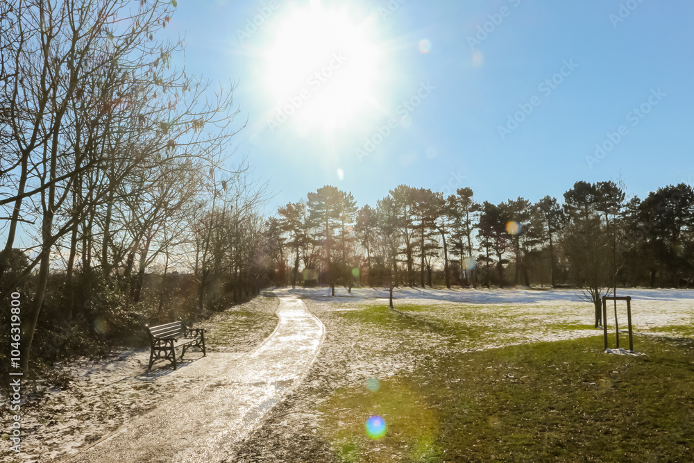 Obraz premium Winter scene in a park in the UK, a frosty snowy start with blue skies.