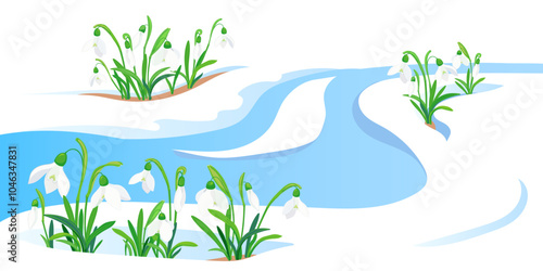 Spring meltwater flow and the first flowers sprout through the snow. White snowdrops in a flat style. The concept of the arrival of spring and the awakening of nature after winter. Vector illustration