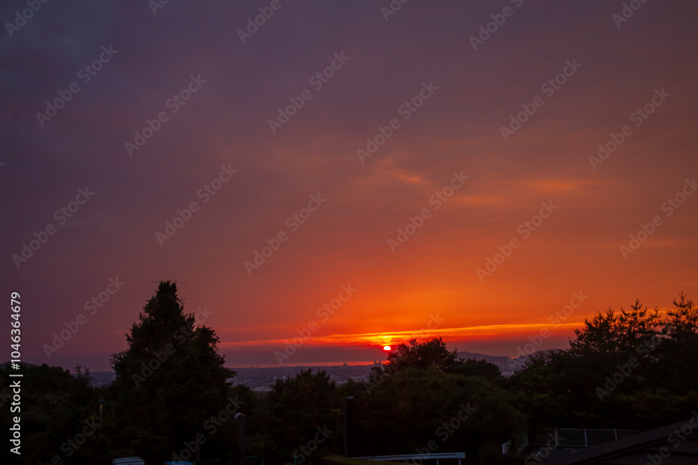 夕日