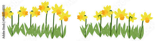 Set of Graphic Daffodil Flower Vector. Arrangement Flower Garden. Suitable for Wal Art, Card, Decoration Card 