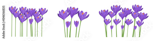 Set of Graphic Crocus Flower Vector. Arrangement Flower Garden. Suitable for Wal Art, Card, Decoration Card 