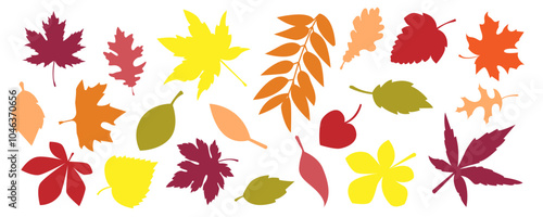 autumn set of many silhouettes of leaves on a white background