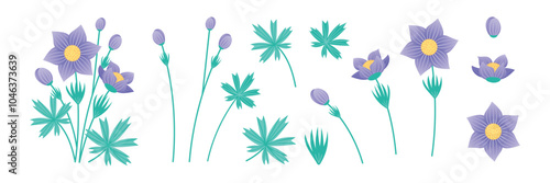 Set of elements Pasque Flower On a white background. Collection of plant elements for design. Delicate purple flowers. Vector illustration.