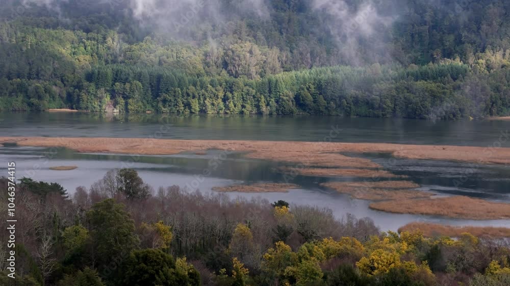 Forward aerial shot of a dense forest with a river in view Forward aerial shot of a dense forest with a river in view