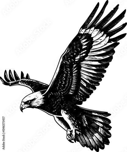 Closeup black and white illustration of a bird wing spread.