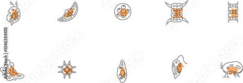 微生物アイコンセットアウトライン