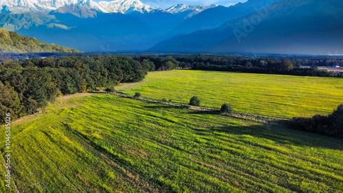 grass terraces in fields