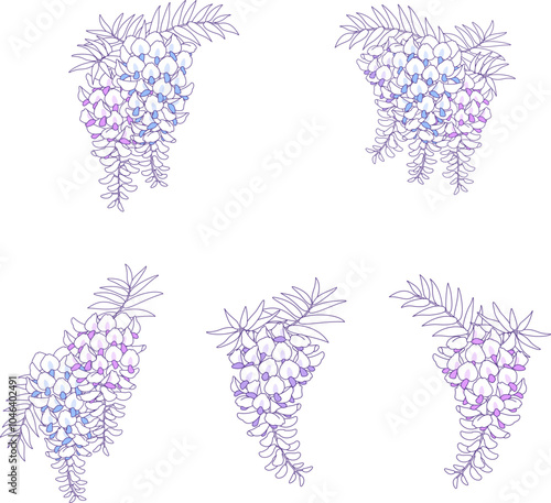 藤の花のベクター素材イラスト