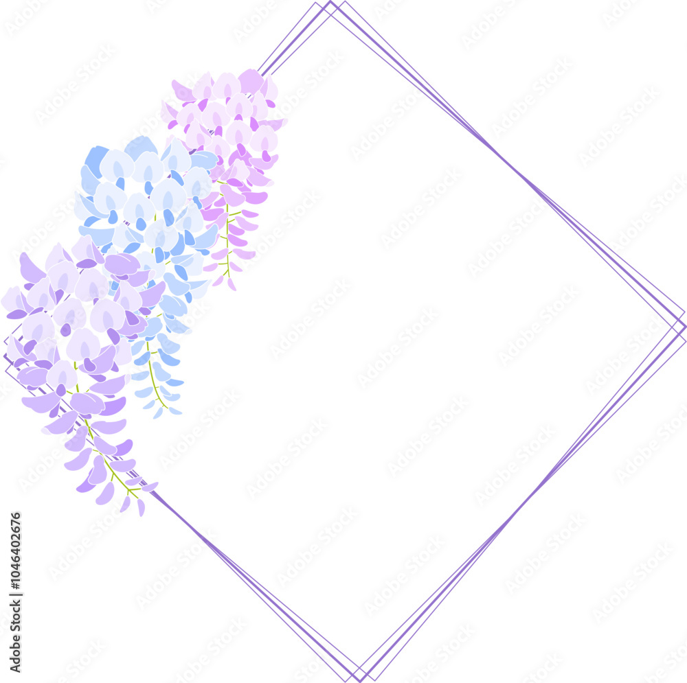 Fototapeta premium 藤の花のベクター素材イラスト