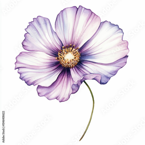 cosmo flower watercolor clipart illustration