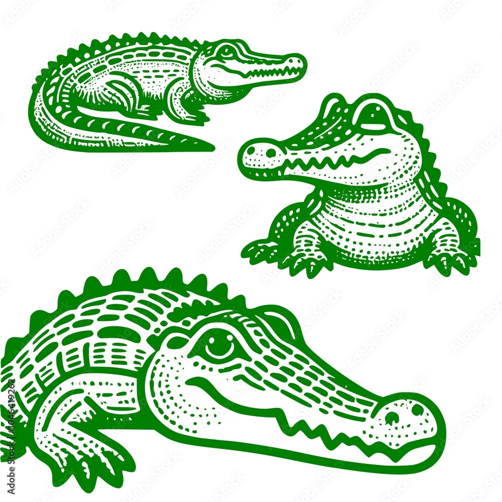 Naklejka premium crocodile in a background