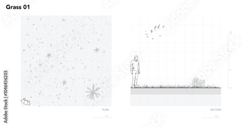 Architectural Drawings, Minimal style cad tree line drawing, Side view, plan and section forest outline symbol for landscape design drawing. Vector illustration in stroke fill in white.