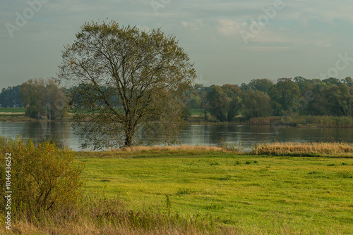 Biosphärenreservat Flusslandschaft Elbe Mecklenburg-Vorpommern photo