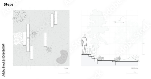 Architectural Drawings, Minimal style cad tree line drawing, Side view, plan and section forest outline symbol for landscape design drawing. Vector illustration in stroke fill in white.