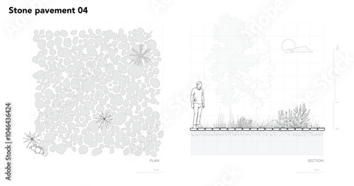 Architectural Drawings, Minimal style cad tree line drawing, Side view, plan and section forest outline symbol for landscape design drawing. Vector illustration in stroke fill in white.