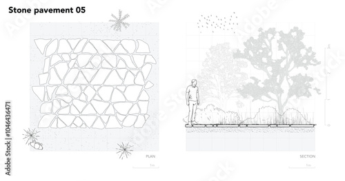 Architectural Drawings, Minimal style cad tree line drawing, Side view, plan and section forest outline symbol for landscape design drawing. Vector illustration in stroke fill in white.