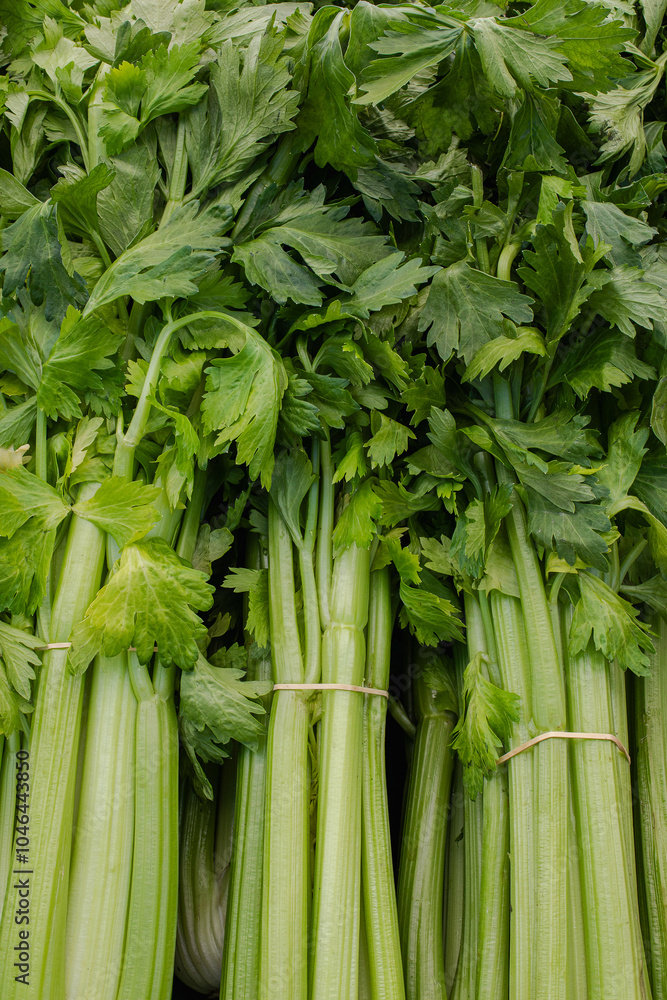 Obraz premium Close view of bunches of celery stalks at a farmers market stand. Vertical orientation