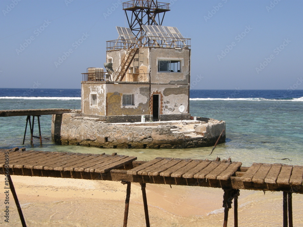 custom made wallpaper toronto digitalOLYMPUS DIGITAL CAMERA