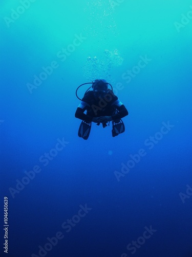 Wallpaper Mural Одні з найкращих морських парків Червоного моря. Дайвінг на островах Бразерс, Дедалусі та Ельфінстоуні не залишає байдужими жодного дайвера. Такої кількості фарб як тут, на суші не зустріти Torontodigital.ca