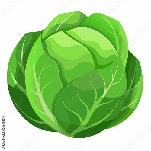 green cabbage isolated on white