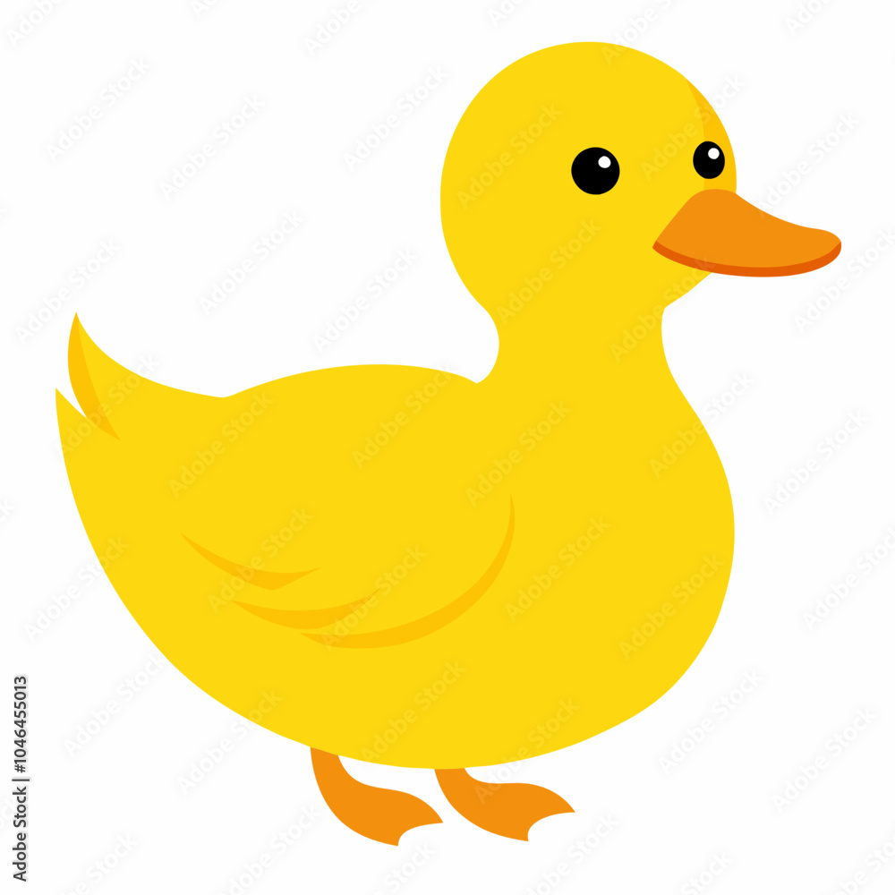 duck isolated on white duck isolated on white