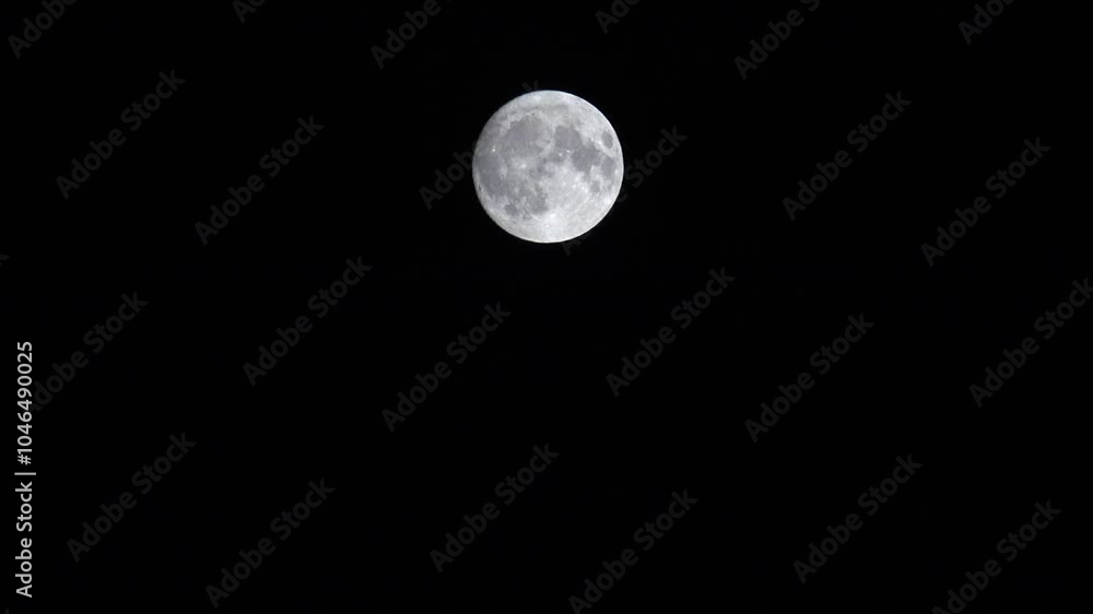 Moon Rises in Night Sky, Dusk Light Full, Halloween View, Evening Astrology Moon Rises in Night Sky, Dusk Light Full, Halloween View, Evening Astrology