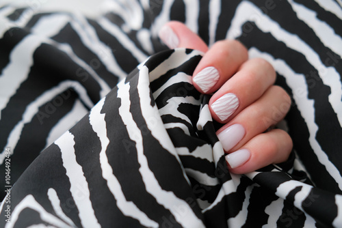 Female hand with a beautiful manicure on a zebra print background. Winter trend, polishing milky color with stripes pattern on nails with gel polish, shellac. photo