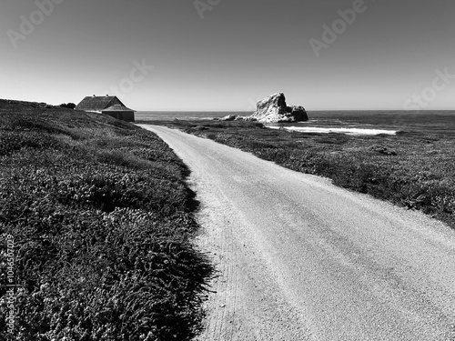 Foto A black and white coastal scene capturing the winding gravel road leading to the historic Piedras Blancas foghorn building, with a dramatic sea stack rising from the Pacific