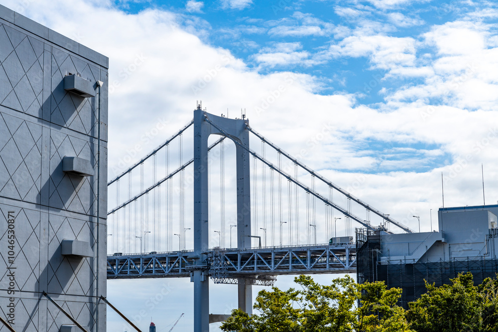 Obraz premium 東京の湾岸エリアの首都高速道路風景