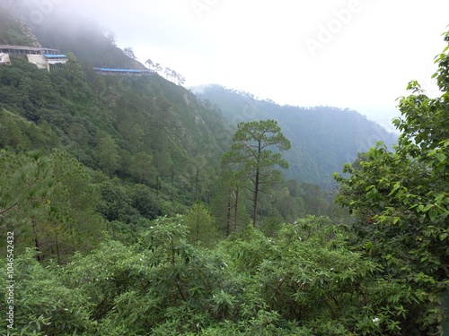 The Green forest plant on a mountian, The beautyfull mountian