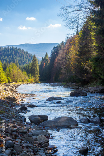 landscape with mountains, forest and a river in front. woodland conservation. beautiful scenery in autumn. sunny weather