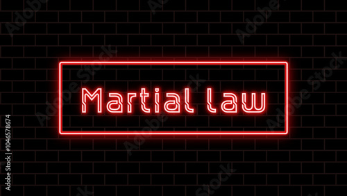 Martial law のネオン文字 photo