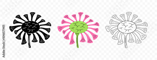 Flower, wildflower, bloom and flowering, graphic design. Nature, plant, inflorescence and blooming, vector design and illustration