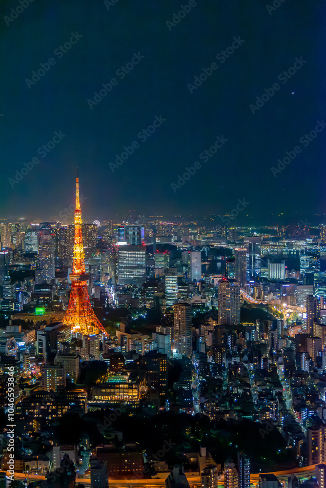 Obraz premium panoramic, tourist attractions in the city park of Tokyo, Asia business concept image, panoramic modern cityscape building in Japan. 