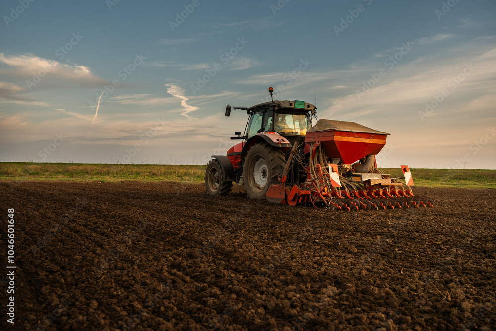 Fototapeta premium Farmer with tractor seeding in sunset