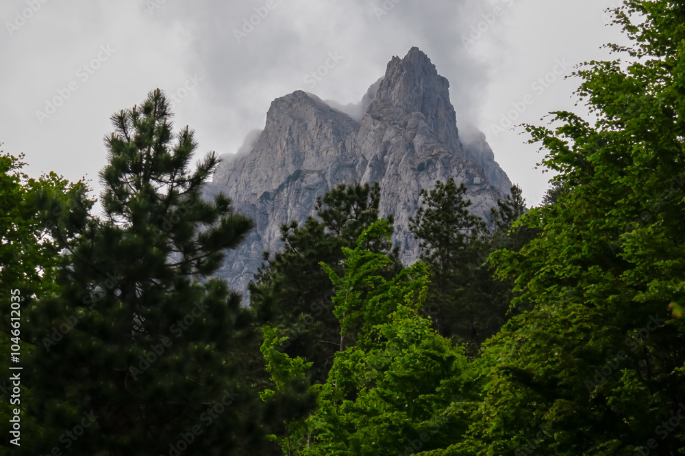 Pine tree forest framing majestic mountain peak Maja Thate in massif Kolata, Albanian Alps (Accursed Mountains), Valbone Valley National Park, Albania. Ridges shrouded in mist. Sense of mystery, drama Pine tree forest framing majestic mountain peak Maja Thate in massif Kolata, Albanian Alps (Accursed Mountains), Valbone Valley National Park, Albania. Ridges shrouded in mist. Sense of mystery, drama