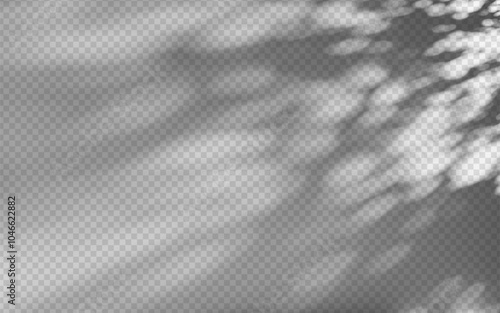 Abstract shadow overlay from foliage on a transparent background.