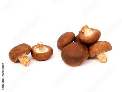 Fresh shiitake mushrooms isolated on white background.