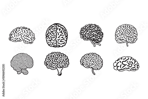 illustration of brain