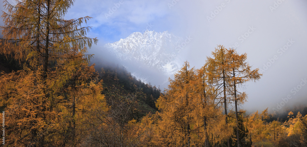 Fototapeta premium Beautiful autumn forest landscape and snow capped mountains