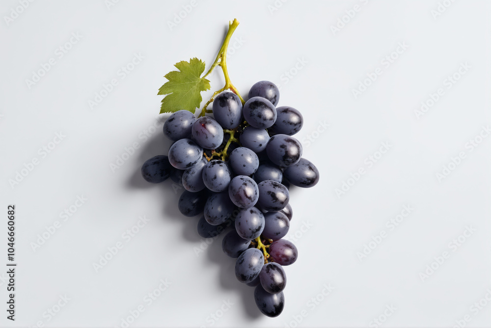 Cluster of black grapes with a leaf on a white background Cluster of black grapes with a leaf on a white background