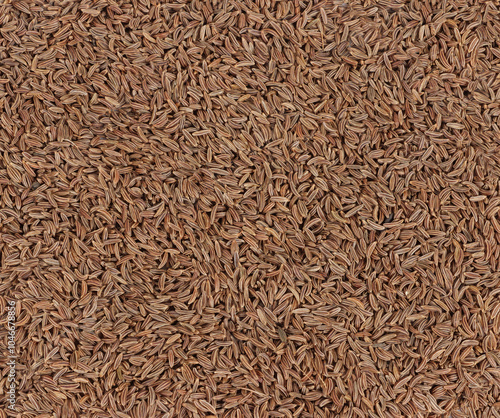 close up of caraway seed isolated on white background 