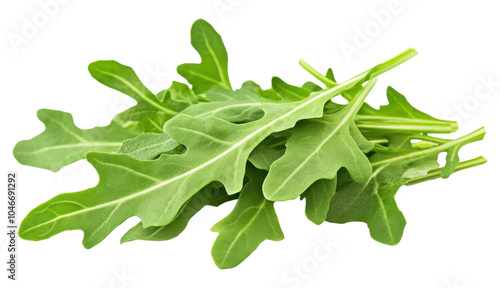 Bunch arugula leaves isolated on a transparent background PNG photo