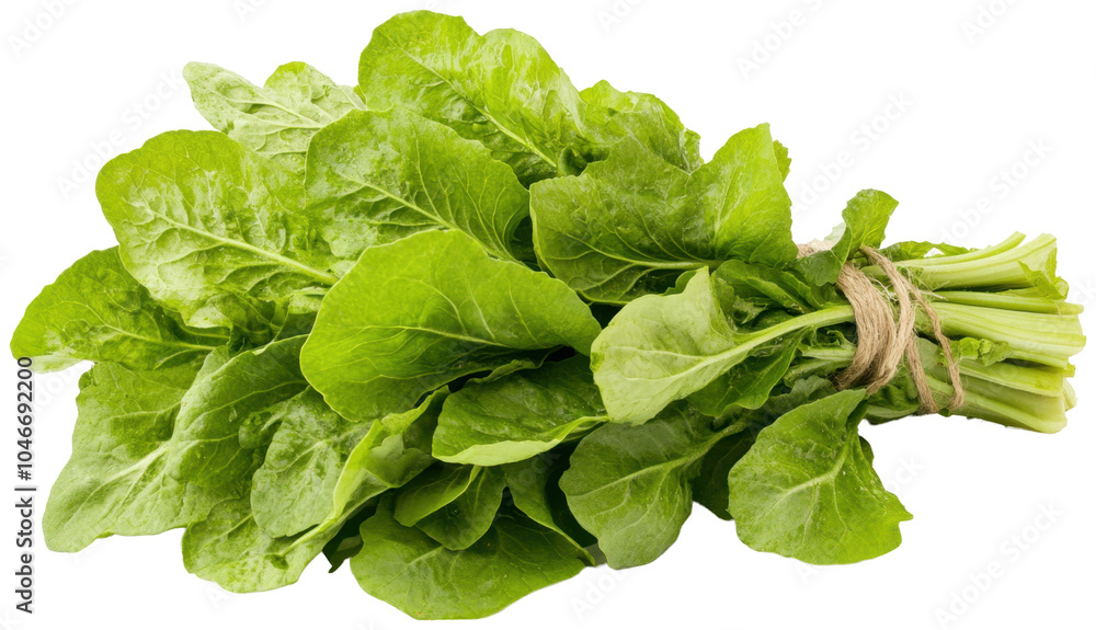 Bunch of fresh Mustard greens isolated on a transparent background PNG Bunch of fresh Mustard greens isolated on a transparent background PNG