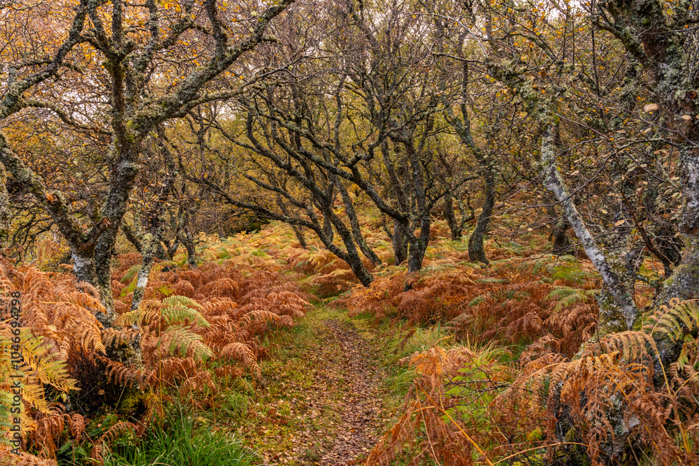 Fototapeta premium Travelling the NC500 route around the north coast of Scotland